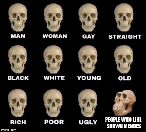 man woman gay straight skull | PEOPLE WHO LIKE SHAWN MENDES | image tagged in man woman gay straight skull | made w/ Imgflip meme maker