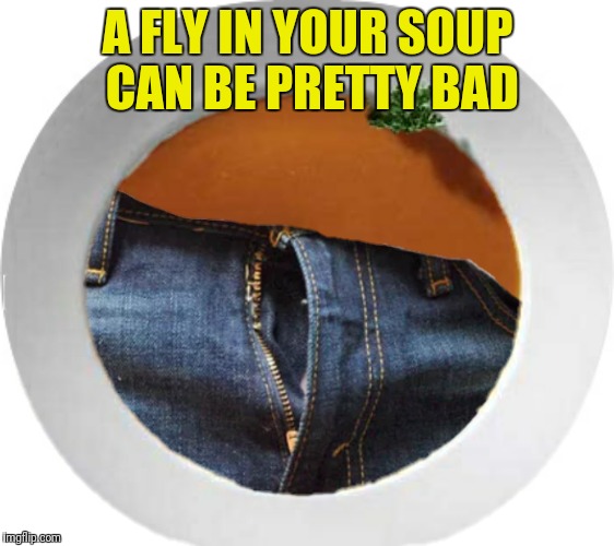 A FLY IN YOUR SOUP CAN BE PRETTY BAD | made w/ Imgflip meme maker