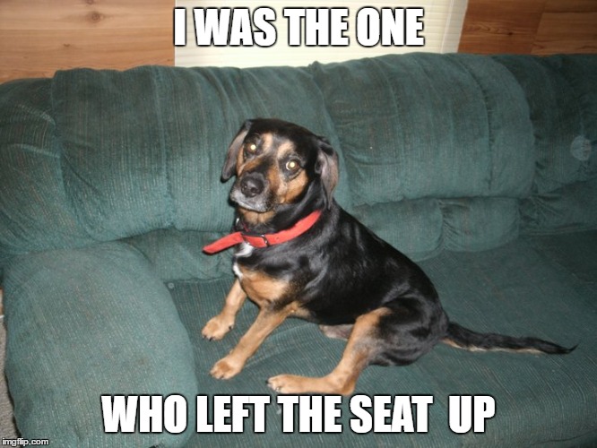 I WAS THE ONE WHO LEFT THE SEAT 
UP | made w/ Imgflip meme maker