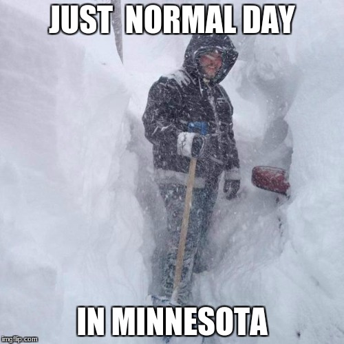 SNOW!!! | JUST  NORMAL DAY; IN MINNESOTA | image tagged in snow | made w/ Imgflip meme maker
