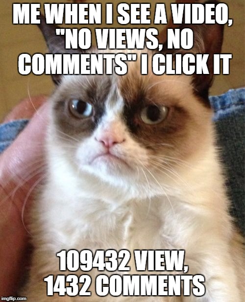 Grumpy Cat Meme | ME WHEN I SEE A VIDEO, "NO VIEWS, NO COMMENTS" I CLICK IT; 109432 VIEW, 1432 COMMENTS | image tagged in memes,grumpy cat | made w/ Imgflip meme maker