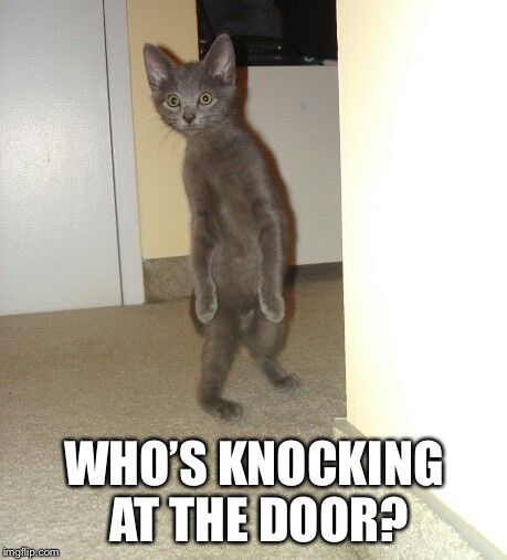 WHO’S KNOCKING AT THE DOOR? | made w/ Imgflip meme maker