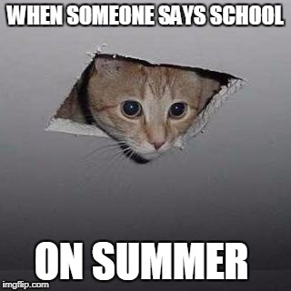 Ceiling Cat Meme | WHEN SOMEONE SAYS SCHOOL; ON SUMMER | image tagged in memes,ceiling cat | made w/ Imgflip meme maker