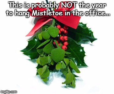 Mistletoe... | This is probably NOT the year to hang Mistletoe in the office... | image tagged in not,year,hang,mistletoe | made w/ Imgflip meme maker