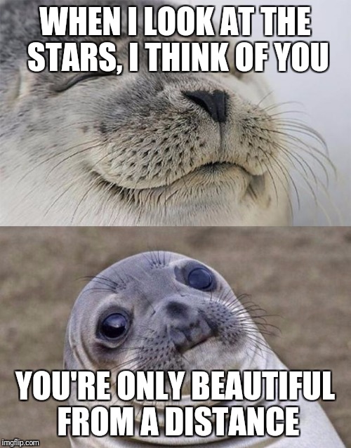Short Satisfaction VS Truth | WHEN I LOOK AT THE STARS, I THINK OF YOU; YOU'RE ONLY BEAUTIFUL FROM A DISTANCE | image tagged in memes,short satisfaction vs truth,trhtimmy | made w/ Imgflip meme maker
