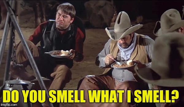 So much for having a "Silent Night".  Insert "night wind" joke here. | DO YOU SMELL WHAT I SMELL? | image tagged in do you hear what i hear,blazing saddles,fart | made w/ Imgflip meme maker