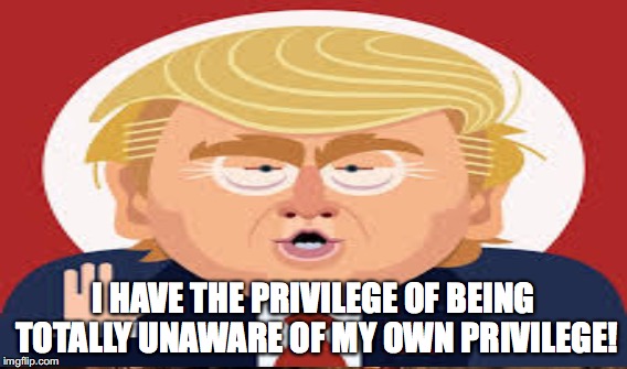 I HAVE THE PRIVILEGE OF BEING TOTALLY UNAWARE OF MY OWN PRIVILEGE! | image tagged in white privilege | made w/ Imgflip meme maker