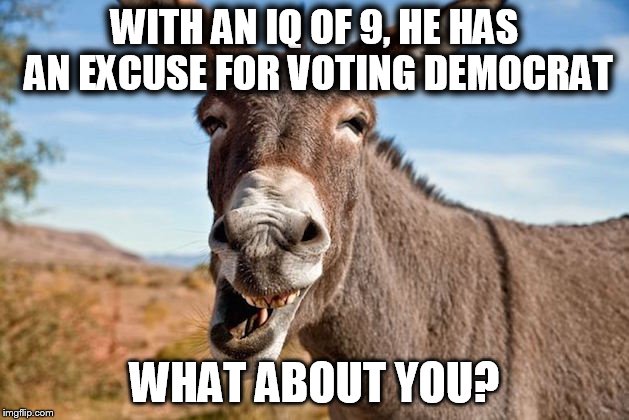 The Jackass Party | WITH AN IQ OF 9, HE HAS AN EXCUSE FOR VOTING DEMOCRAT; WHAT ABOUT YOU? | image tagged in democrat mascot | made w/ Imgflip meme maker