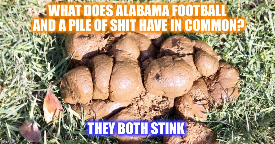 Alabama pile of shit  | WHAT DOES ALABAMA FOOTBALL AND A PILE OF SHIT HAVE IN COMMON? THEY BOTH STINK | image tagged in alabama pile of shit | made w/ Imgflip meme maker