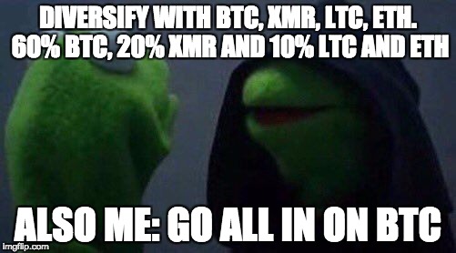 kermit me to me | DIVERSIFY WITH BTC, XMR, LTC, ETH. 60% BTC, 20% XMR AND 10% LTC AND ETH; ALSO ME: GO ALL IN ON BTC | image tagged in kermit me to me | made w/ Imgflip meme maker