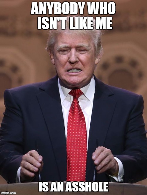 Donald Trump | ANYBODY WHO ISN'T LIKE ME; IS AN ASSHOLE | image tagged in donald trump,anti-politics,stupid politicians,political logic,political hypocrisy,political bias | made w/ Imgflip meme maker
