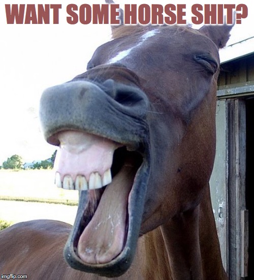 WANT SOME HORSE SHIT? | made w/ Imgflip meme maker