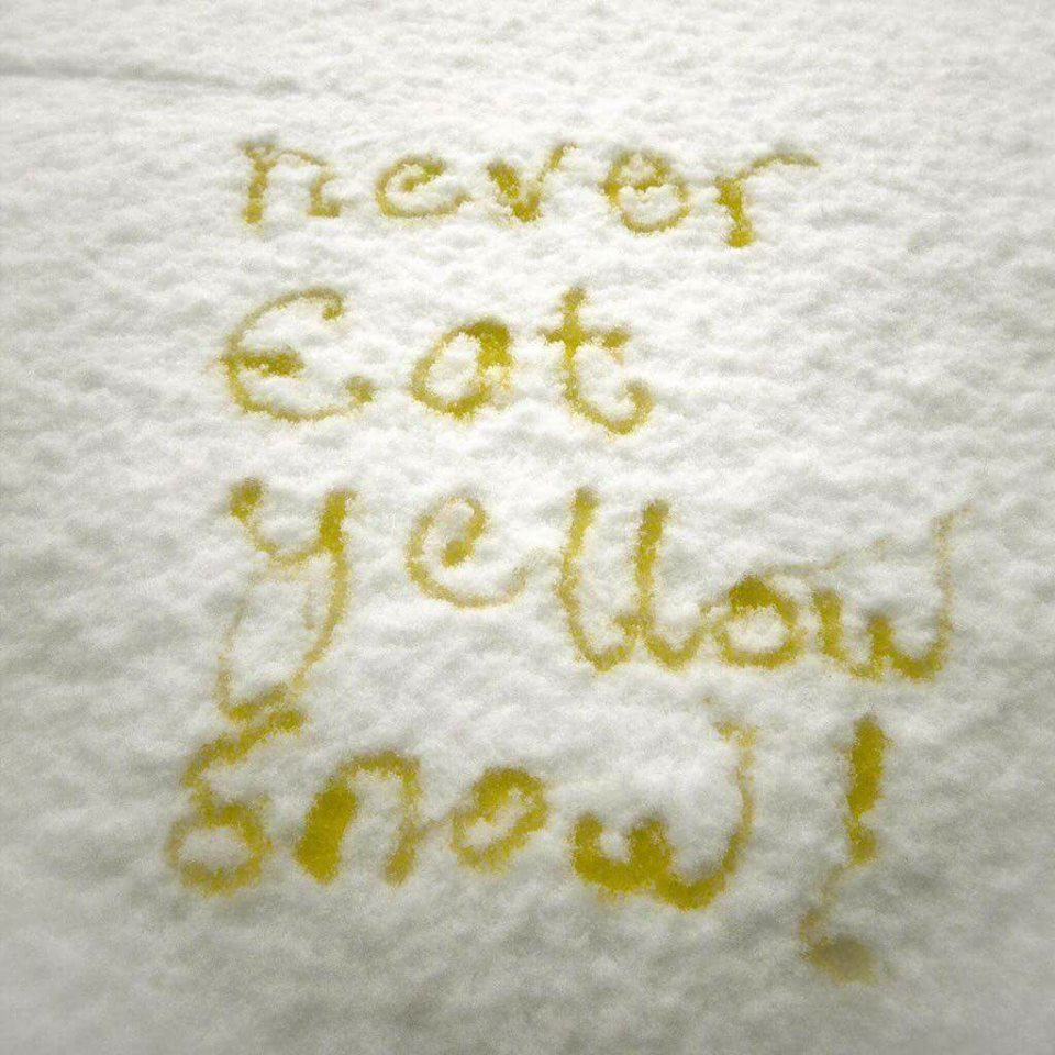 Yellow Snow Blank Meme Template