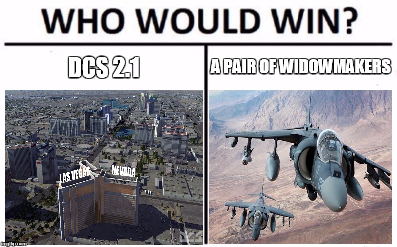 Who Would Win? Meme | A PAIR OF WIDOWMAKERS; DCS 2.1 | image tagged in who would win | made w/ Imgflip meme maker