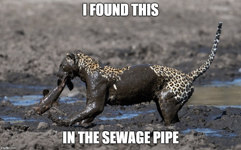 I FOUND THIS IN THE SEWAGE PIPE | made w/ Imgflip meme maker