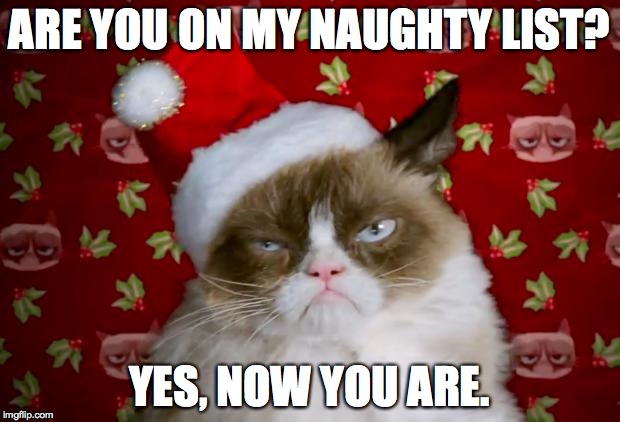 Christmas is my favorite time of year! | ARE YOU ON MY NAUGHTY LIST? YES, NOW YOU ARE. | image tagged in grumpy santa cat,memes | made w/ Imgflip meme maker
