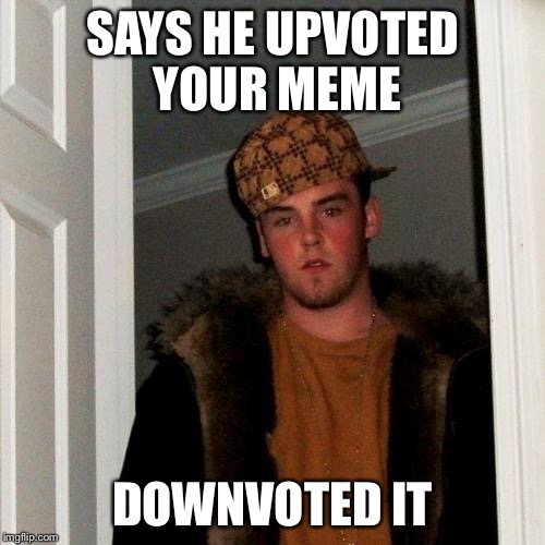 Scumbag Steve | SAYS HE UPVOTED YOUR MEME; DOWNVOTED IT | image tagged in memes,scumbag steve,imgflip,downvote fairy | made w/ Imgflip meme maker