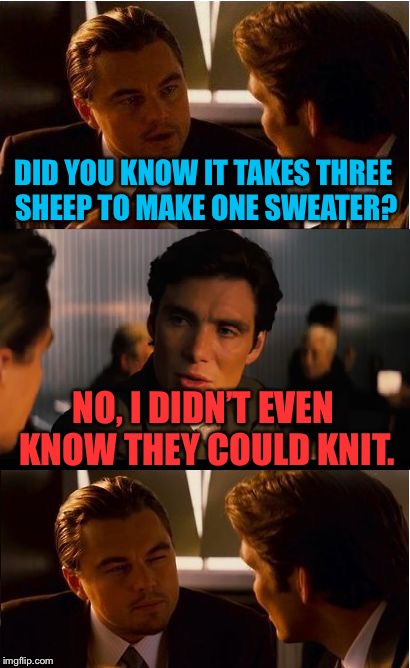 sweaters are itchy | DID YOU KNOW IT TAKES THREE SHEEP TO MAKE ONE SWEATER? NO, I DIDN’T EVEN KNOW THEY COULD KNIT. | image tagged in inception,leonardo dicaprio,sheep,knitting,sweater | made w/ Imgflip meme maker