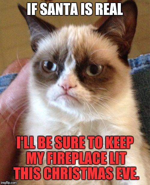 Merry Christmas Grumpy! ......... oh. | IF SANTA IS REAL; I'LL BE SURE TO KEEP MY FIREPLACE LIT THIS CHRISTMAS EVE. | image tagged in memes,grumpy cat | made w/ Imgflip meme maker