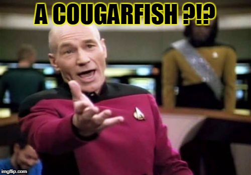 Picard Wtf Meme | A COUGARFISH ?!? | image tagged in memes,picard wtf | made w/ Imgflip meme maker