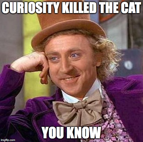 Creepy Condescending Wonka | CURIOSITY KILLED THE CAT; YOU KNOW | image tagged in memes,creepy condescending wonka | made w/ Imgflip meme maker