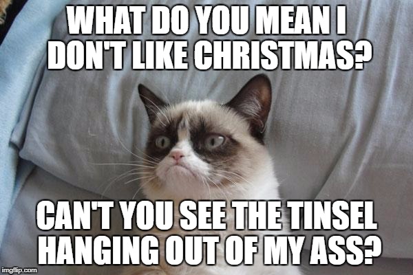 Grumpy Cat Bed Meme | WHAT DO YOU MEAN I DON'T LIKE CHRISTMAS? CAN'T YOU SEE THE TINSEL HANGING OUT OF MY ASS? | image tagged in memes,grumpy cat bed,grumpy cat | made w/ Imgflip meme maker