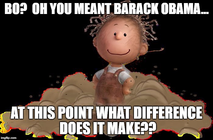 BO?  OH YOU MEANT BARACK OBAMA... AT THIS POINT WHAT DIFFERENCE DOES IT MAKE?? | image tagged in bo | made w/ Imgflip meme maker