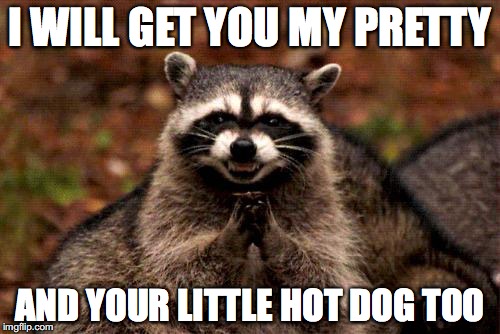 Evil Plotting Raccoon Meme | I WILL GET YOU MY PRETTY; AND YOUR LITTLE HOT DOG TOO | image tagged in memes,evil plotting raccoon | made w/ Imgflip meme maker