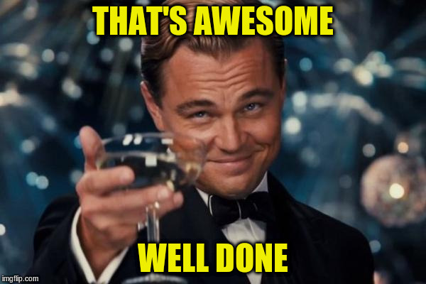 Leonardo Dicaprio Cheers Meme | THAT'S AWESOME WELL DONE | image tagged in memes,leonardo dicaprio cheers | made w/ Imgflip meme maker