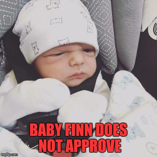 Shameless use of nephew in a funny pic? Check...this will come in handy somewhere I just know it  | image tagged in memes,this,yep,sorry not sorry | made w/ Imgflip meme maker