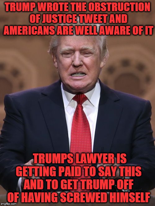 Donald Trump | TRUMP WROTE THE OBSTRUCTION OF JUSTICE TWEET AND AMERICANS ARE WELL AWARE OF IT; TRUMPS LAWYER IS GETTING PAID TO SAY THIS AND TO GET TRUMP OFF OF HAVING SCREWED HIMSELF | image tagged in donald trump | made w/ Imgflip meme maker