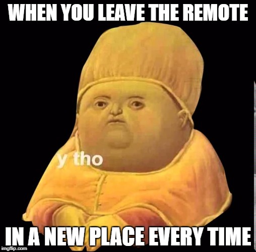 where did i leave the remote | WHEN YOU LEAVE THE REMOTE; IN A NEW PLACE EVERY TIME | image tagged in y tho | made w/ Imgflip meme maker