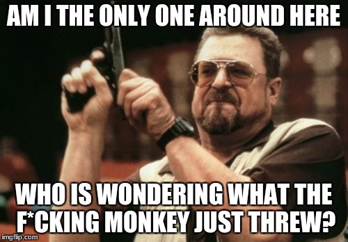 Am I The Only One Around Here Meme | AM I THE ONLY ONE AROUND HERE WHO IS WONDERING WHAT THE F*CKING MONKEY JUST THREW? | image tagged in memes,am i the only one around here | made w/ Imgflip meme maker