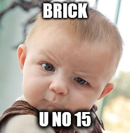 Skeptical Baby Meme | BRICK; U NO 15 | image tagged in memes,skeptical baby | made w/ Imgflip meme maker