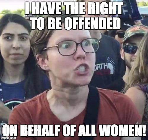 Triggered feminist | I HAVE THE RIGHT TO BE OFFENDED; ON BEHALF OF ALL WOMEN! | image tagged in triggered feminist | made w/ Imgflip meme maker