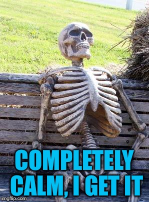 Waiting Skeleton Meme | COMPLETELY CALM, I GET IT | image tagged in memes,waiting skeleton | made w/ Imgflip meme maker