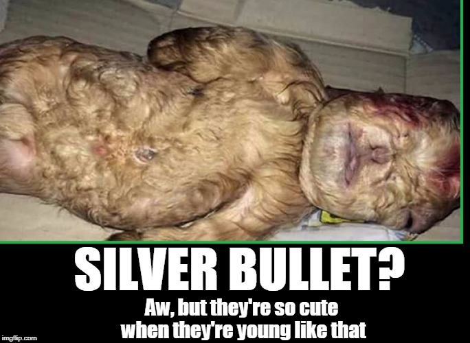 Baby Werewolf | SILVER BULLET? Aw, but they're so cute when they're young like that | image tagged in baby werewolf,vince vance,newborn animals,silver bullet,newborn goat | made w/ Imgflip meme maker