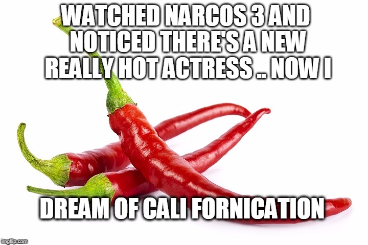Definitely too subtle but it's going in because it's original... | WATCHED NARCOS 3 AND NOTICED THERE'S A NEW REALLY HOT ACTRESS .. NOW I; DREAM OF CALI FORNICATION | image tagged in hot peppers,narcos,california,californication | made w/ Imgflip meme maker