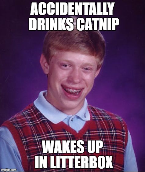 Bad Luck Brian Meme | ACCIDENTALLY DRINKS CATNIP WAKES UP IN LITTERBOX | image tagged in memes,bad luck brian | made w/ Imgflip meme maker