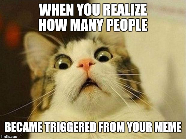 Scared Cat Meme | WHEN YOU REALIZE HOW MANY PEOPLE; BECAME TRIGGERED FROM YOUR MEME | image tagged in memes,scared cat | made w/ Imgflip meme maker