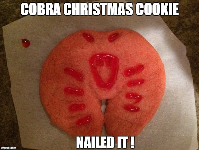 Christmas cookies | COBRA CHRISTMAS COOKIE; NAILED IT ! | image tagged in gi joe,nailed it,first world problems | made w/ Imgflip meme maker