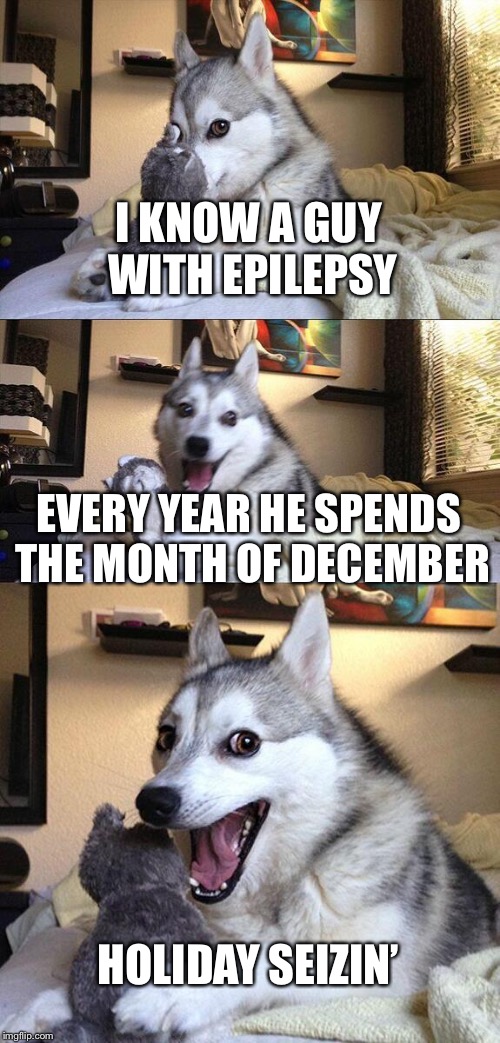 Bad Pun Dog Meme | I KNOW A GUY WITH EPILEPSY; EVERY YEAR HE SPENDS THE MONTH OF DECEMBER; HOLIDAY SEIZIN’ | image tagged in memes,bad pun dog | made w/ Imgflip meme maker