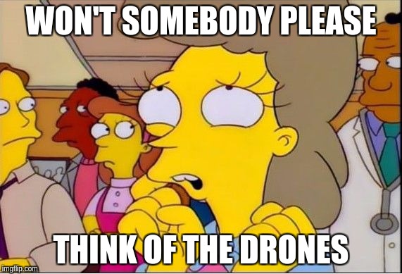 helen lovejoy | WON'T SOMEBODY PLEASE; THINK OF THE DRONES | image tagged in helen lovejoy | made w/ Imgflip meme maker