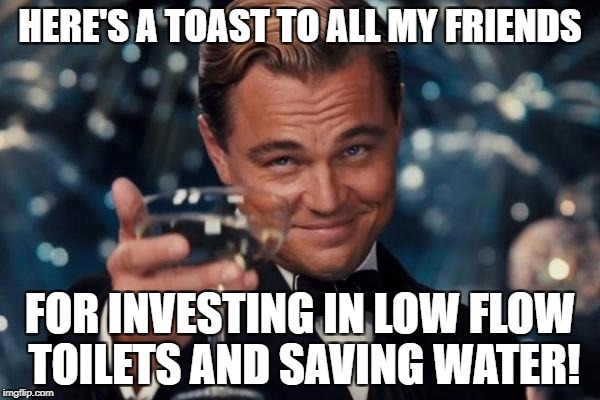 Leonardo Dicaprio Cheers Meme | HERE'S A TOAST TO ALL MY FRIENDS; FOR INVESTING IN LOW FLOW TOILETS AND SAVING WATER! | image tagged in memes,leonardo dicaprio cheers | made w/ Imgflip meme maker