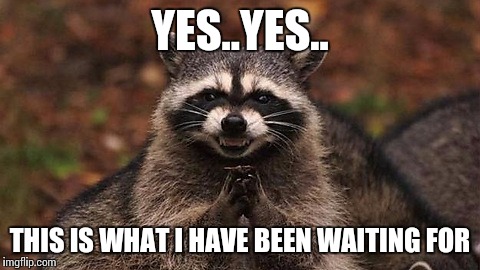 Yes yes | YES..YES.. THIS IS WHAT I HAVE BEEN WAITING FOR | image tagged in evil genius racoon,evil racoon,memes,funny,funny memes | made w/ Imgflip meme maker