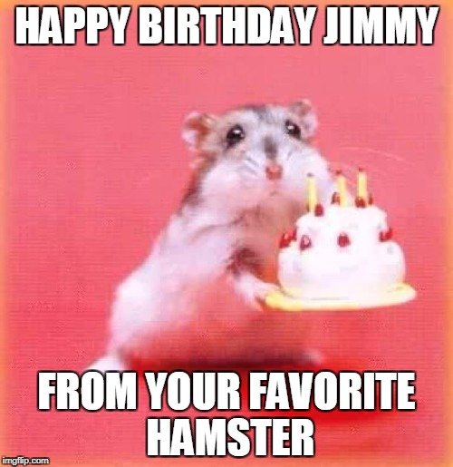 birthday hamster | HAPPY BIRTHDAY JIMMY; FROM YOUR FAVORITE HAMSTER | image tagged in birthday hamster | made w/ Imgflip meme maker