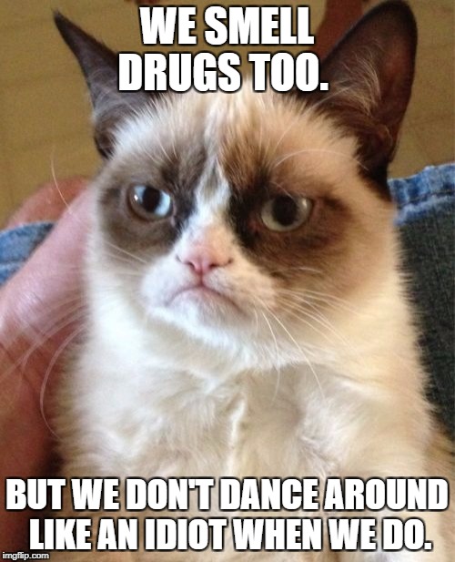 Drug cats rule | WE SMELL DRUGS TOO. BUT WE DON'T DANCE AROUND LIKE AN IDIOT WHEN WE DO. | image tagged in memes,grumpy cat,drugs,funny | made w/ Imgflip meme maker