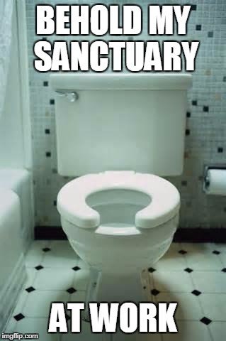 Apart from all craziness of the world... | BEHOLD MY SANCTUARY; AT WORK | image tagged in toilet | made w/ Imgflip meme maker