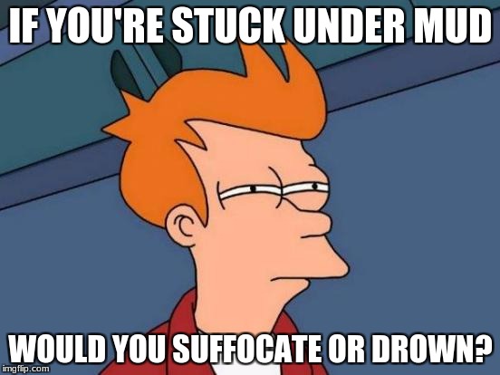 Futurama Fry Meme | IF YOU'RE STUCK UNDER MUD; WOULD YOU SUFFOCATE OR DROWN? | image tagged in memes,futurama fry | made w/ Imgflip meme maker