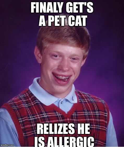 Bad Luck Brian Meme | FINALY GET'S A PET CAT; RELIZES HE IS ALLERGIC | image tagged in memes,bad luck brian,funny,meme,funny memes,funny meme | made w/ Imgflip meme maker